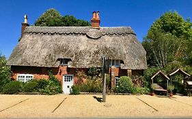 The Thatched Cottage Brockenhurst
